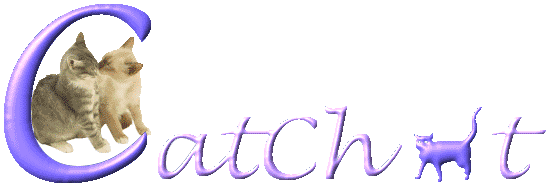 CatChat